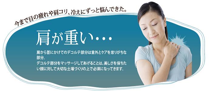 �W���W�����t�g�@��₹