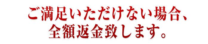 �W���W�����t�g�@��₹